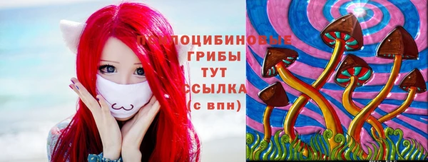 амф Алексин