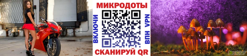 хочу   Дмитров  Псилоцибиновые грибы Cubensis 