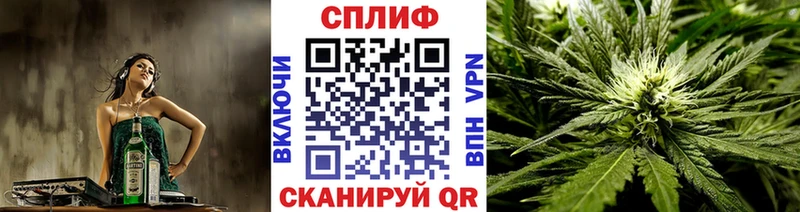 Бошки Шишки SATIVA & INDICA Дмитров